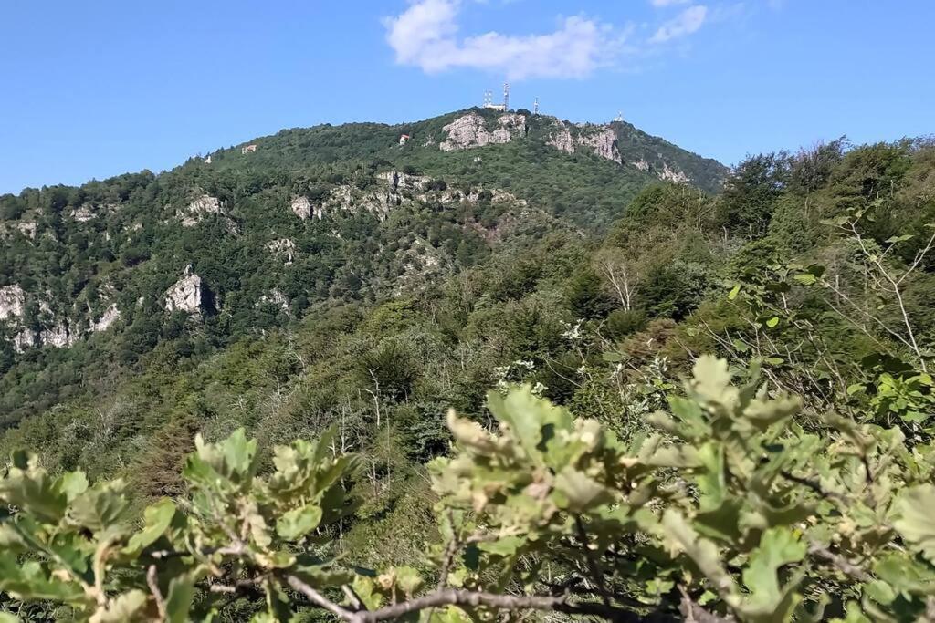 B&B Vegan La Mucca Felice - Grazioso Appartamento Nel Verde Rancio Valcuvia Exterior photo
