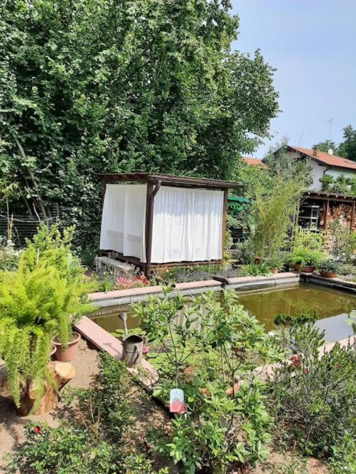 B&B Vegan La Mucca Felice - Grazioso Appartamento Nel Verde Rancio Valcuvia Exterior photo